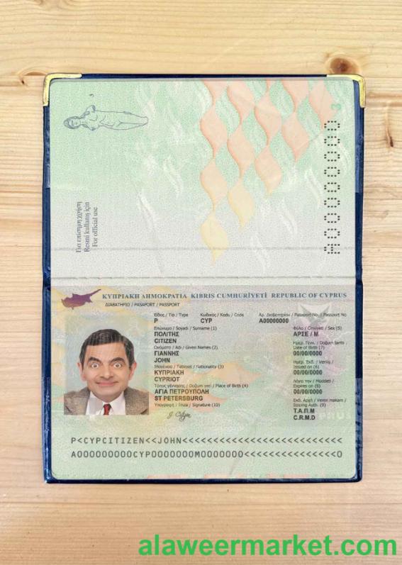 Cyprus passport photo look